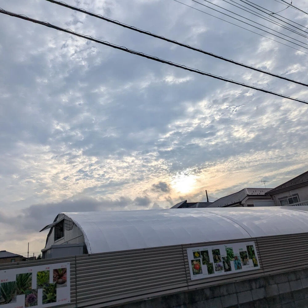 画像1527